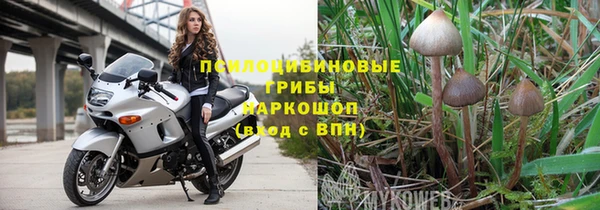 гашик Абаза