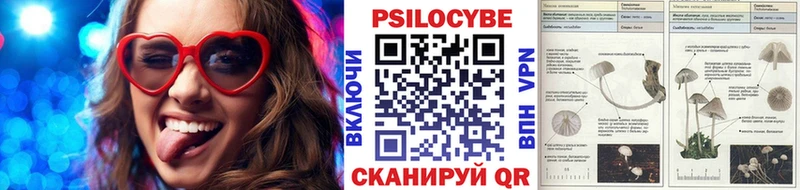 Псилоцибиновые грибы Cubensis Орск